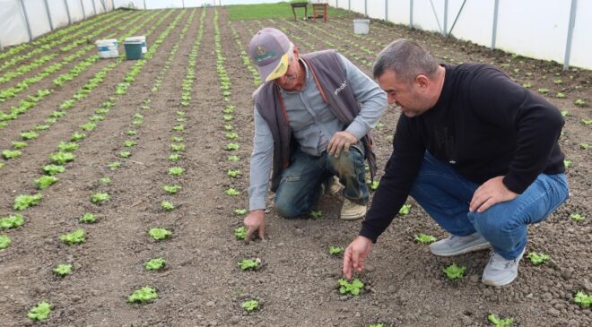 Seracılık kapasitesini artırma çalışmaları tam gaz