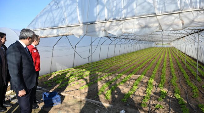 Vali Sezer’den üreticilere ziyaret