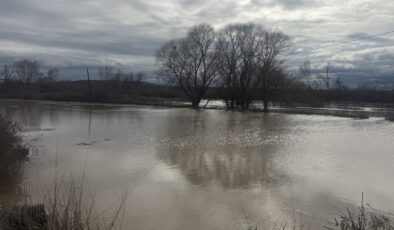 Tunca Nehri taştı!