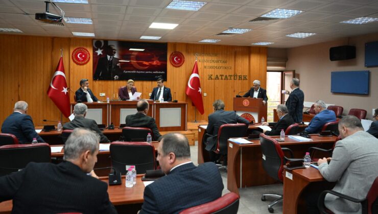 Afetlerde sınır ötesi iş birliği