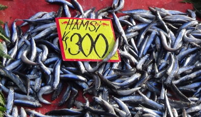 Hamsinin kulağına kar suyu kaçtı