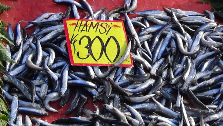 Hamsinin kulağına kar suyu kaçtı