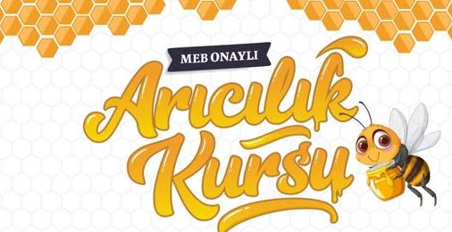 Belediyeden arıcılık kursu