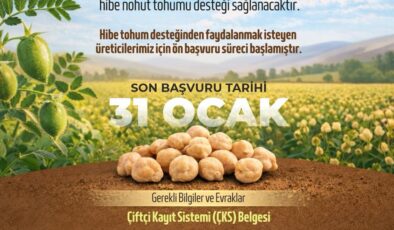 Belediyeden nohut tohumu