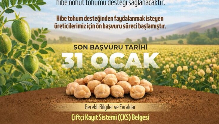 Belediyeden nohut tohumu