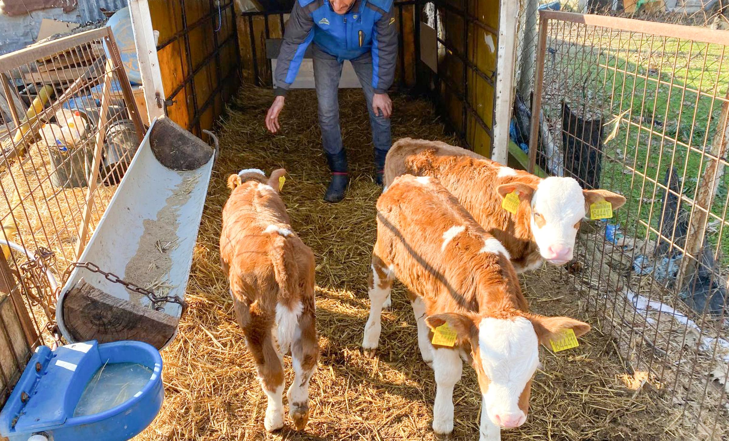 Besicinin üçüz mutluluğu