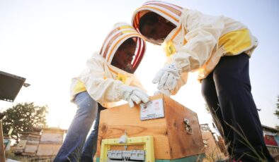 Coğrafi işaret sahteciliğin önüne geçiyor