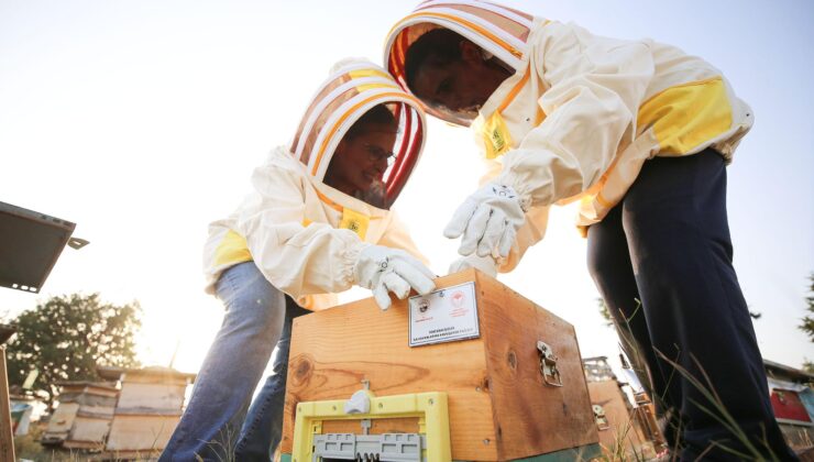 Coğrafi işaret sahteciliğin önüne geçiyor