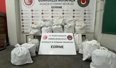 Dedektör köpekler buldu!