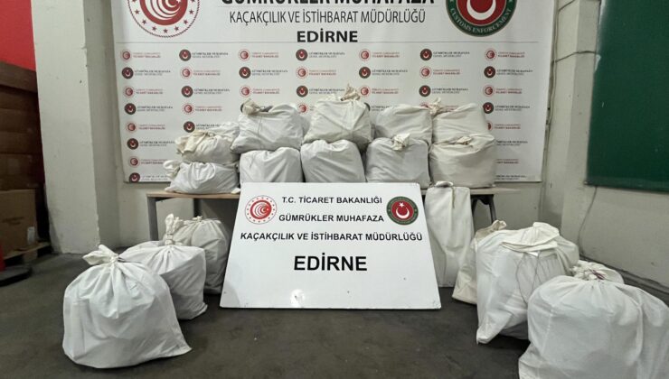 Dedektör köpekler buldu!