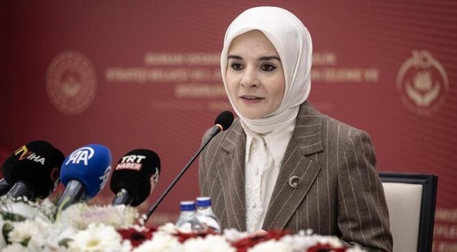 ‘Romanların hayatını iyileştireceğiz’