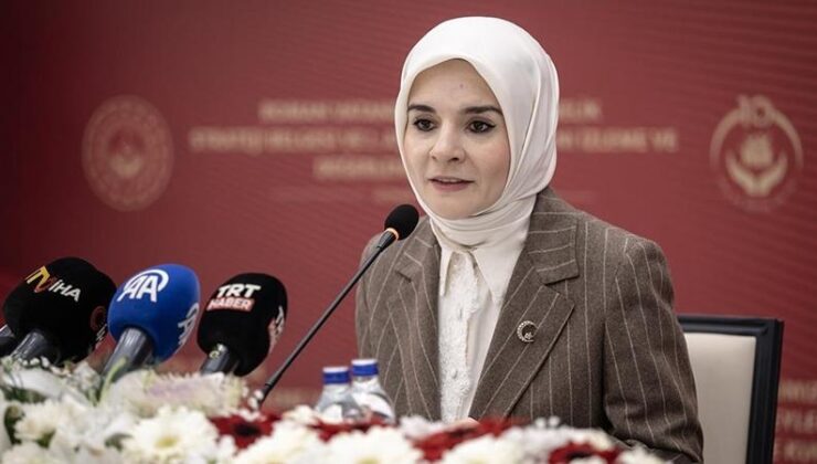 ‘Romanların hayatını iyileştireceğiz’