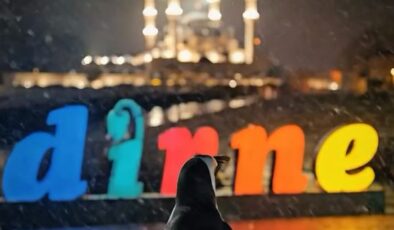 ‘Nihilist Penguen’ Edirne’de ortaya çıktı