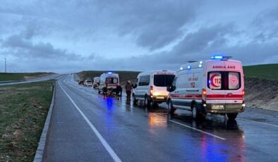 Yolun karşısına geçecekti