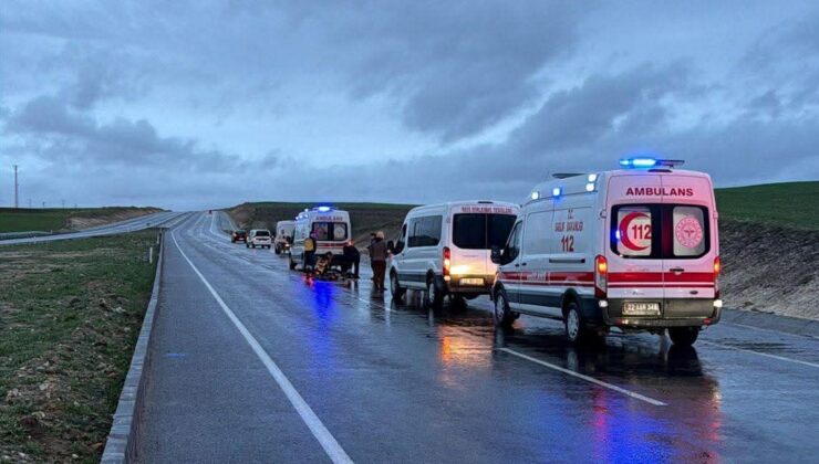 Yolun karşısına geçecekti