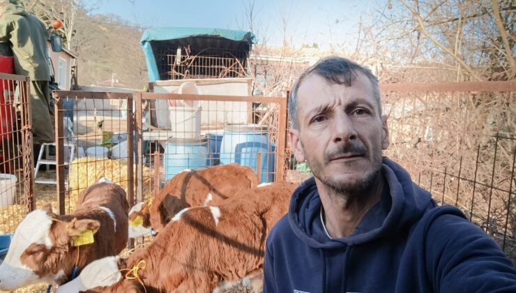 Besicinin üçüz mutluluğu