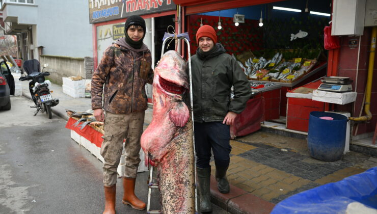 Meriç’te dev yayın yakalandı