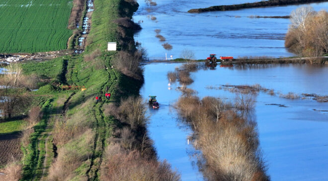 Nehir debileri düşüşe geçti