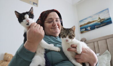 Evlerini sahipsiz kedilere açtılar