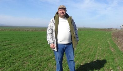  “Bize birazcık acıyın”