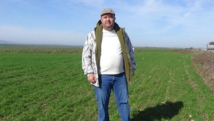  “Bize birazcık acıyın”