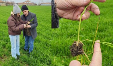 Çiftçilere gübreleme uyarısı