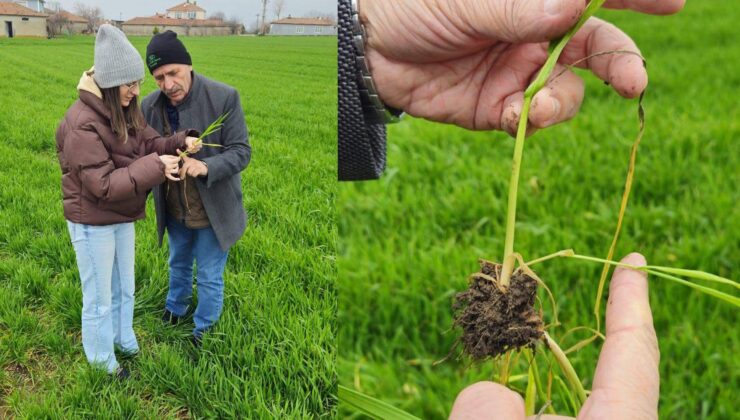 Çiftçilere gübreleme uyarısı
