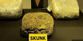 Otomobilde 40 kilogram skunk ele geçirildi