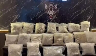 TIR’da 22 kilo 500 gram skunk ele geçirildi