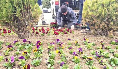 Trakya Üniversitesi çiçek açtı