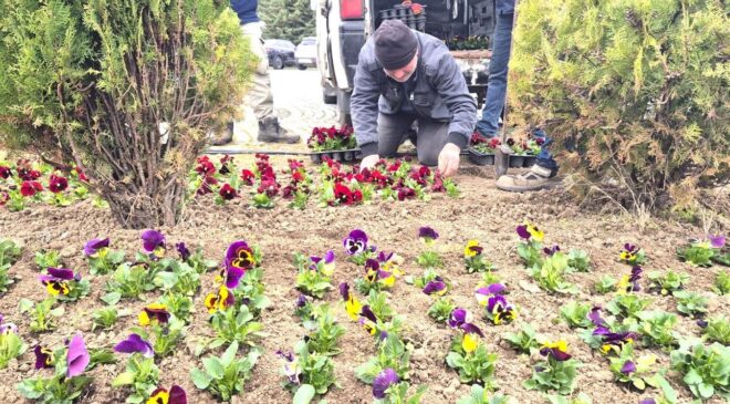 Trakya Üniversitesi çiçek açtı