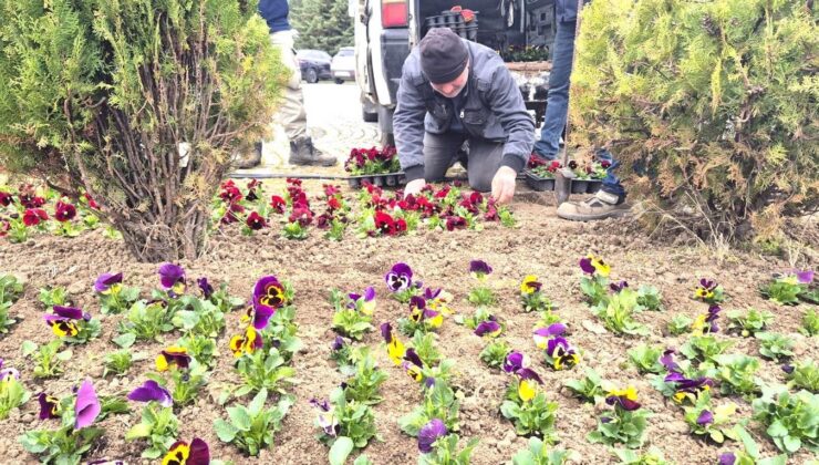 Trakya Üniversitesi çiçek açtı