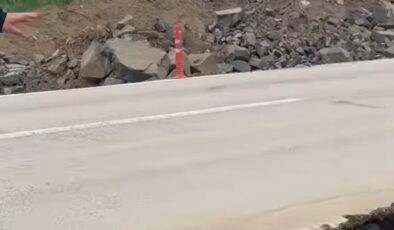 Bozuk yol için kurban adadı