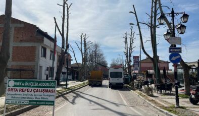 Karaağaç’a budama