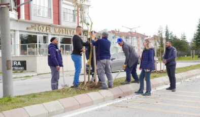 Bülent Ecevit Bulvarı’na fidan dikildi