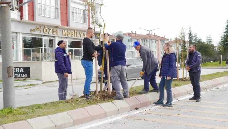 Bülent Ecevit Bulvarı’na fidan dikildi