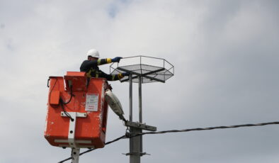 Leyleklere özel platform