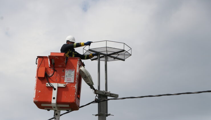 Leyleklere özel platform