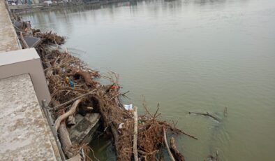 Meriç’te acı tablo