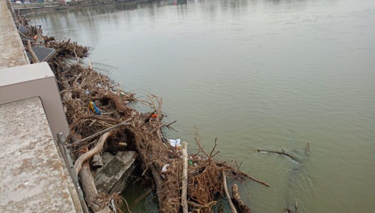 Meriç’te acı tablo