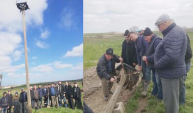 Arizbaba leyleklerini bekliyor