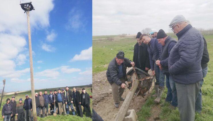 Arizbaba leyleklerini bekliyor