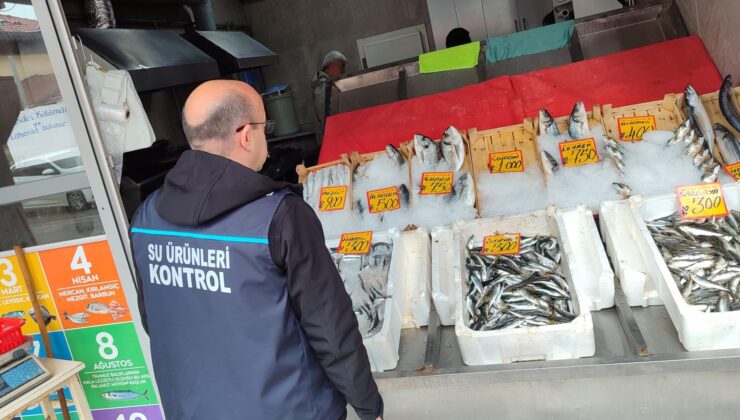 Balıkçılara denetim