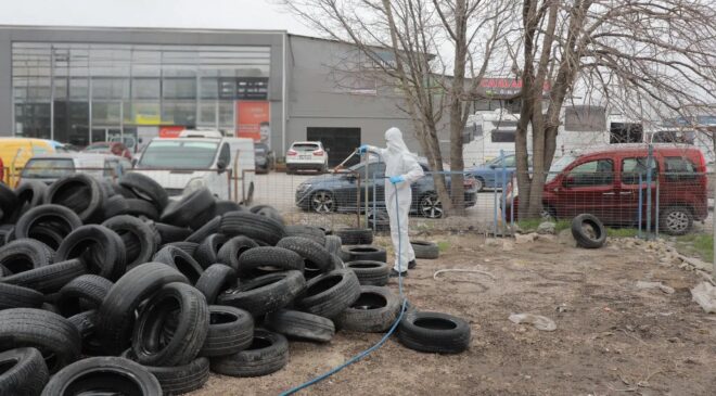 Belediyeden haşere mücadelesi