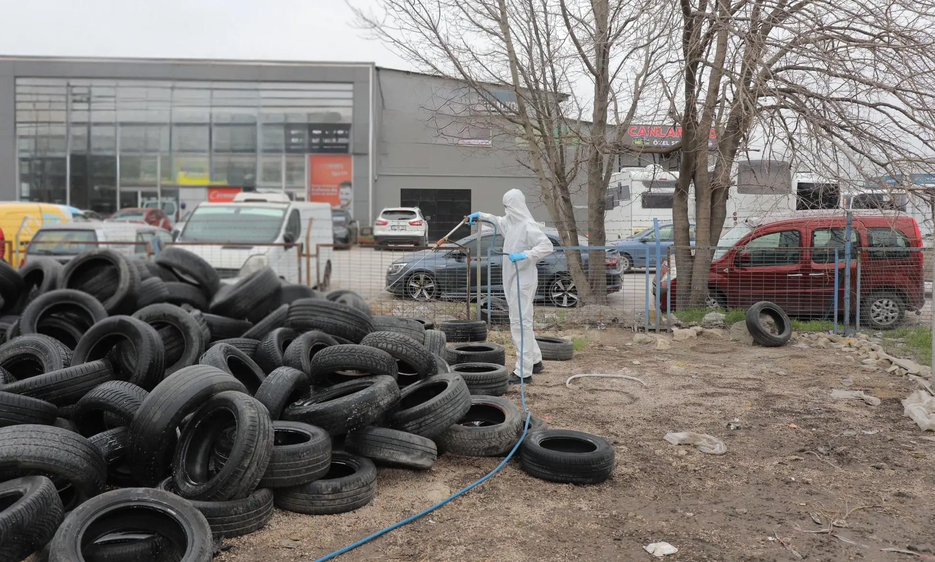 Belediyeden haşere mücadelesi