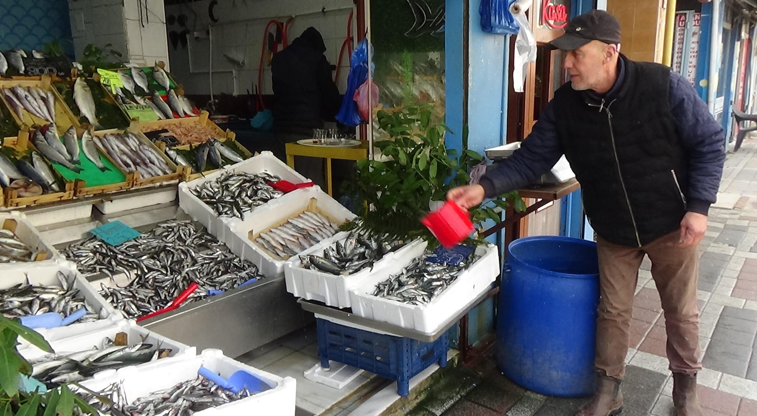 Edirne hamsiye doydu