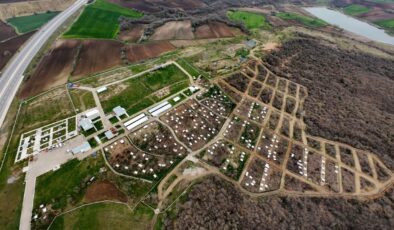 İki yılda 411 kedi ve köpek sahiplendirildi