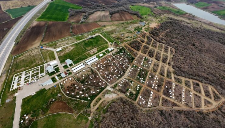 İki yılda 411 kedi ve köpek sahiplendirildi