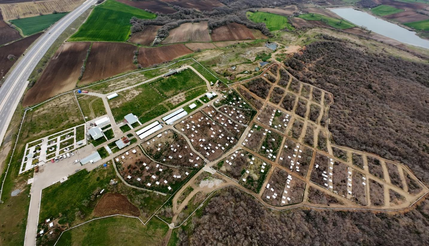 İki yılda 411 kedi ve köpek sahiplendirildi