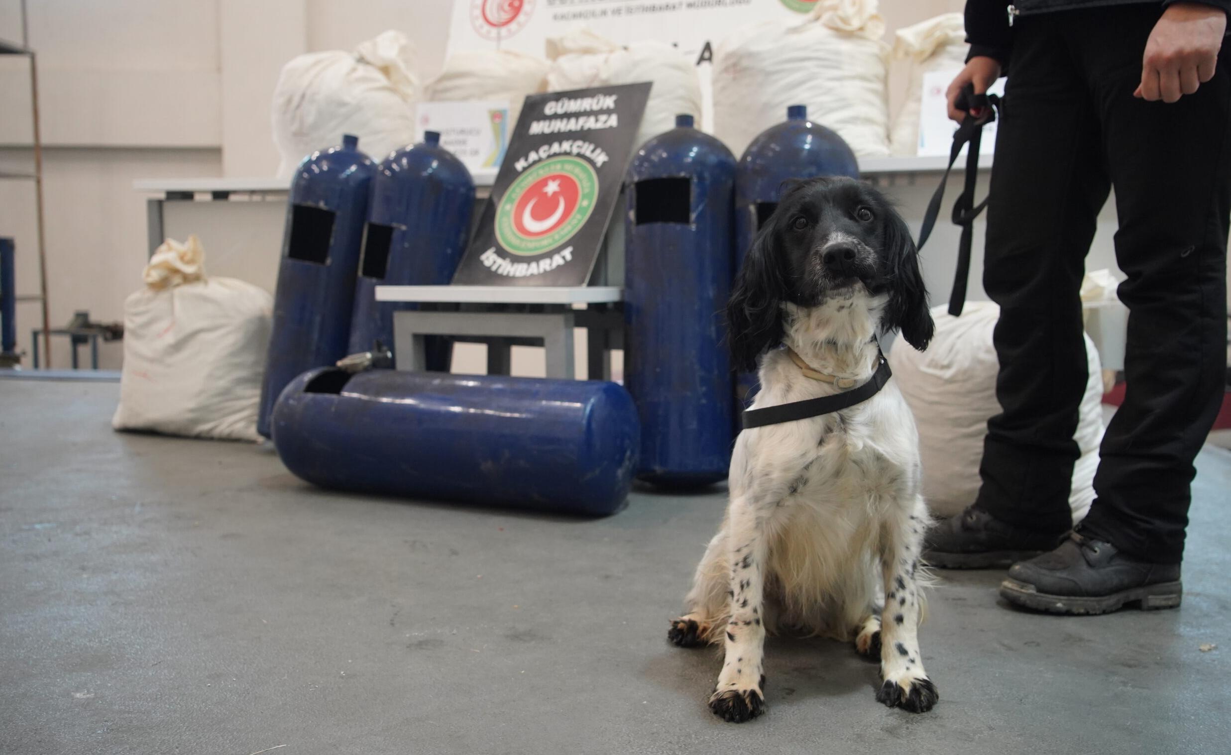 LPG tankından uyuşturucu çıktı